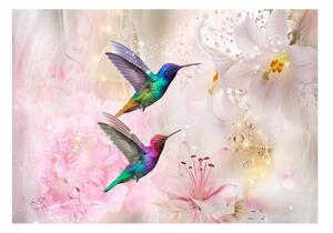 Fototapet - Colourful Hummingbirds (Pink) - 100x70
