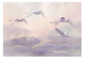 Fototapet - Flying Swans - 100x70