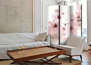 Rumsavdelare / Skärmvägg - Cherry Blossom - 135x172