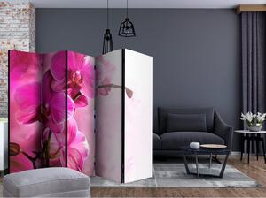 Rumsavdelare / Skärmvägg - Pink Orchid II - 225x172
