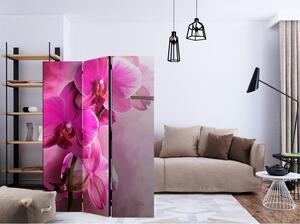 Rumsavdelare / Skärmvägg - Pink Orchid - 135x172