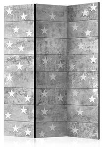 Rumsavdelare / Skärmvägg - Stars on Concrete - 135x172