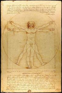 Poster, Affisch Leonardo Da Vinci - Vitruvian Man, (61 x 91.5 cm)