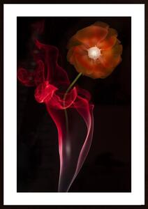 Red Buttercup Poster