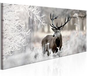 Canvas Tavla - Deer among Trees - 120x60