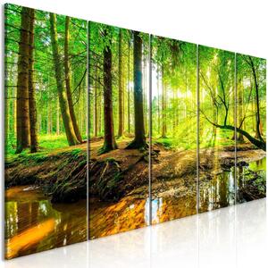 Canvas Tavla - Forest Stream (5 delar) Narrow - 225x90
