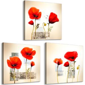 Canvas Tavla - Impression With Poppies (3 delar) - 120x40