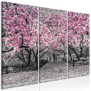 Canvas Tavla - Magnolia Park (3 delar) Pink - 90x60