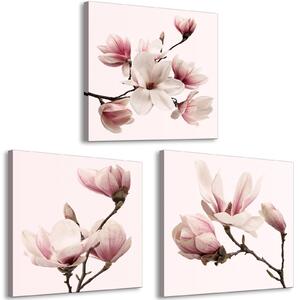 Canvas Tavla - Magnolia Obsession (3 delar) - 120x40