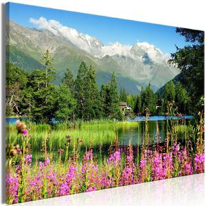 Canvas Tavla - Spring in the Alps Wide - 90x60