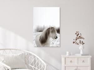Canvas Tavla - Horse Mane Vertical - 40x60