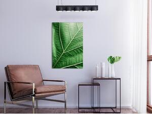Canvas Tavla - Malachite Leaf Vertical - 40x60
