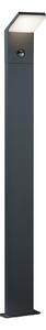 PEARL Lyktstolpe LED Vit - Antracit/Vit