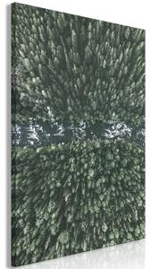 Canvas Tavla - Forest River Vertical - 40x60
