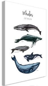 Canvas Tavla - Whales Vertical - 40x60