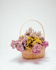 Diosmi Ljusrosa - Konserverade Blommor
