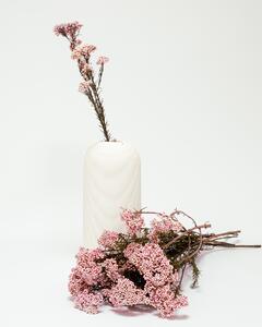 Diosmi Ljusrosa - Konserverade Blommor