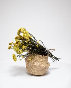 Diosmi Gul - Konserverade Blommor