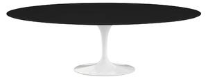 Knoll - Saarinen Oval Table - Matbord, 244 x 137 cm, Vitt underrede, skiva i Svart laminat - Matbord - Eero Saarinen - Svart - Laminat/Metall