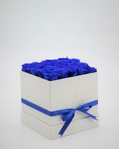 Rosbox Medium - Mörkblå - Rosbox
