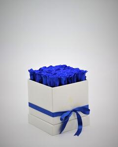 Rosbox Small - Mörkblå - Rosbox