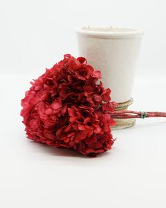 Hortensia Mörkrosa - Konserverade Blommor