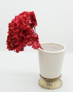 Hortensia Mörkrosa - Konserverade Blommor