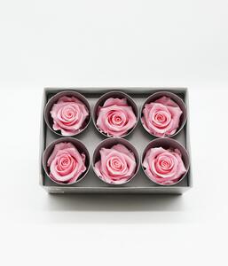 Rosbox Medium - Rosbox Rosa