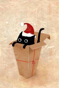 Illustration Cat gift, Illustration