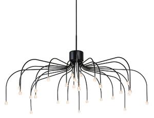 Moooi - Starfall Light - Takkronor - Svart