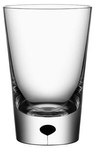 Orrefors - Metropol Tumbler 23 cl - Dricksglas - Erika Lagerbielke - Transparent,Svart