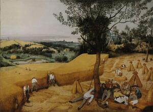 Bildreproduktion The Harvesters, Bruegel, Pieter the Elder