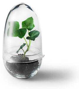 Design House Stockholm - Grow Greenhouse Small - Vaser - Caroline Wetterling - Transparent