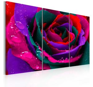 Tavla Rainbow-Färgade Rose 120X80 Flerfärgad - Artgeist sp. z o. o