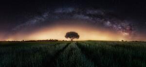 Fotografi Milky way over lonely tree, Ivan Ferrero