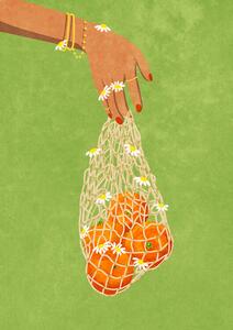 Illustration Fresh Oranges, Raissa Oltmanns