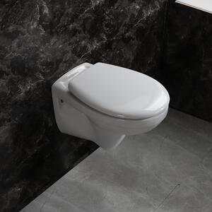 Toalettpaket - Vägghängd toalett 540 & Dold cistern