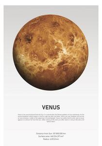 Poster Venus Light