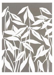 Poster Teja 50x70 cm