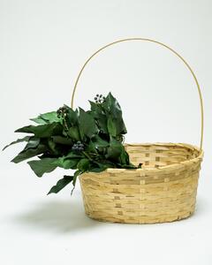 Murreva Frukt Ivy - Konserverade Växter