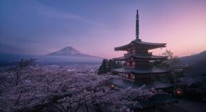 Fotografi Mt Fuji Sakura, Javier de la