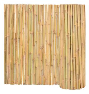 Staket bambu 300x100 cm - Brun