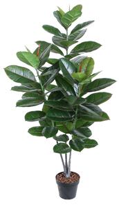 Grön Växt Rubberplant H130 cm 3 Grenar -