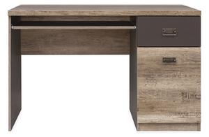 NOKOMIS Skrivbord 120 cm med Förvaring Låda + Skåp Ekfärg/Gr - Trä/natur