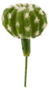 TROPICAL Kaktuspinne14 cm -
