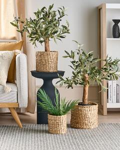 Set med 3 växtkorgar Naturlig vattenhyacint Planter krukor Inomhusbruk Vardagsrum Boho Rustik stil Beliani