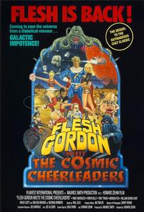 Illustration Flesh Gordon Meets The Cosmic Cheerleaders