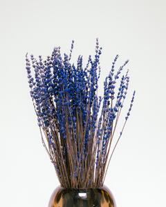 Lavendel Extrablå - Konserverade Blommor 75 gram