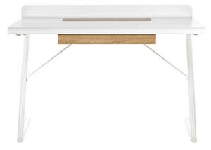 Skrivbord 120 x 60 cm vit/ljust trä FOCUS - Vit