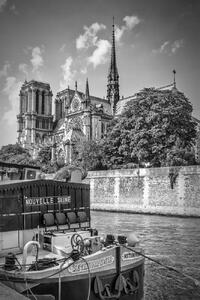 Konstfotografering PARIS Cathedral Notre-Dame | monochrome, Melanie Viola, (26.7 x 40 cm)